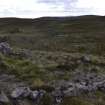 Walkover Survey photograph, Looking over stone wall (129) towards settlement (128), Cambusmore Estate, Dornoch, Highland