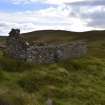 Walkover Survey photograph, Stone structure (65a), Cambusmore Estate, Dornoch, Highland