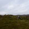 Walkover Survey photograph, Stone structure (62x), Cambusmore Estate, Dornoch, Highland