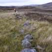 Walkover Survey photograph, Stone dyke (62w), Cambusmore Estate, Dornoch, Highland