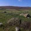 Digital photograph of panorama, Scotland's Rock Art Project, Leakin, Moray