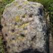 Digital photograph of close up of motifs, Scotland's Rock Art Project, Leakin, Moray