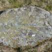 Digital photograph of rock art panel in context without scale, Scotland's Rock Art Project, Laggan Hill 8, Highland