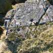 Digital photographs perpendicular to carved surface(s), Scotland's Rock Art Project, Carlin Crags 1, East Renfrewshire