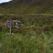 Walkover Survey photograph, Stone built shieling and twinning pen (site 9c-d), Scallasaig Woodland Planting, Glenelg, Highland