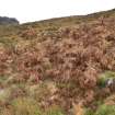 Walkover Survey photograph, Possible shieling site (site 22), Scallasaig Woodland Planting, Glenelg, Highland