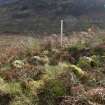 Walkover Survey photograph, Stone cell on Torr Beag summit (site 26), Scallasaig Woodland Planting, Glenelg, Highland
