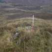 Walkover Survey photograph, Stone cell on Torr Beag summit (site 29), Scallasaig Woodland Planting, Glenelg, Highland