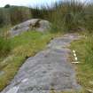 Digital photograph of panel to W, Scotland's Rock Art Project, Stillaig 1, Cowal, Argyll and Bute