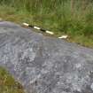 Digital photograph of panel to NW, Scotland's Rock Art Project, Stillaig 1, Cowal, Argyll and Bute