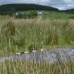 Digital photograph of panel to N, Scotland's Rock Art Project, Stillaig 1, Cowal, Argyll and Bute