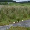 Digital photograph of panel to N, Scotland's Rock Art Project, Stillaig 1, Cowal, Argyll and Bute