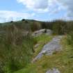 Digital photograph of panel in context without scale, Scotland's Rock Art Project, Stillaig 1, Cowal, Argyll and Bute