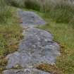 Digital photograph of panel in context without scale, Scotland's Rock Art Project, Stillaig 1, Cowal, Argyll and Bute