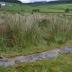 Digital photograph of panel in context without scale, Scotland's Rock Art Project, Stillaig 1, Cowal, Argyll and Bute