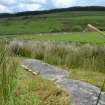 Digital photograph of panel in context with scale, Scotland's Rock Art Project, Stillaig 1, Cowal, Argyll and Bute