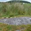 Digital photograph of panel in context with scale, Scotland's Rock Art Project, Stillaig 1, Cowal, Argyll and Bute