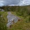 Digital photograph of panel, Scotland's Rock Art Project, Stillaig 1, Cowal, Argyll and Bute