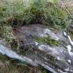 Digital photograph of rock art panel context, Scotland's Rock Art Project, Nether Glenny Natural Feature, Stirling
