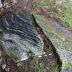Digital photograph of rock art panel, Scotland's Rock Art Project, Clach Bhan, Highland