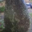 Digital photograph of panel in context without scale, from Scotland's Rock Art Project, Crichton Mains, Midlothian