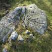 Digital photograph of perpendicular to carved surface(s), from Scotland's Rock Art Project, Creag Liath, Highland