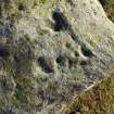 Digital photograph of close ups of motifs, from Scotland's Rock Art Project, Creag Liath, Highland