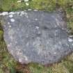 Digital photograph of perpendicular to carved surface(s), from Scotland's Rock Art Project, Nether Glenny 28, Stirling