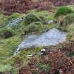 Digital photograph of panel to W, from Scotland's Rock Art Project, Nether Glenny 28, Stirling