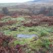 Digital photograph of panel in context without scale, from Scotland's Rock Art Project, Nether Glenny 28, Stirling