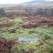 Digital photograph of panel in context with scale, from Scotland's Rock Art Project, Nether Glenny 28, Stirling