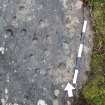 Digital photograph of close ups of motifs, from Scotland's Rock Art Project, Nether Glenny 28, Stirling