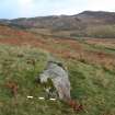 Digital photograph of panel in context with scale, from Scotland's Rock Art Project, Nether Glenny 11, Stirling