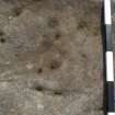 Digital photograph of close ups of motifs, from Scotland's Rock Art Project, Whitehill 2, East Dunbartonshire