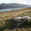 Digital photograph of panel in context without scale, from Scotland's Rock Art Project, Cloanlawers 1, Loch Tay, Perth and Kinross