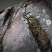 Snapshot of 3D model, Scotland's Rock Art Project, Cloanlawers 1, Loch Tay, Perth and Kinross