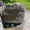 Digital photograph of perpendicular to carved surface(s), from Scotland's Rock Art Project, Heights of Fodderty, Highland