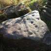 Digital photograph of panel, from Scotland's Rock Art Project, Swordale Farm 1, Highland