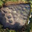 Digital photograph of perpendicular to carved surface(s), from Scotland's Rock Art Project, Fleuchlady, Highland