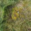 Digital photograph of panel before cleaning, Scotland's Rock Art Project, Ardoch, Highland