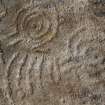 Digital photograph of close ups of motifs, Scotland's Rock Art Project, Braes of Balloch 1, Tombuie, Perth and Kinross