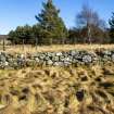 Survey photograph, Wade Road - SW facing elevation of revetment wall, area of well-preserved road, A9 Dualling - Tomatin to Moy, Highland