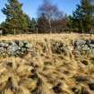 Survey photograph, Wade Road - SW facing elevation of revetment wall, area of disturbed walling, A9 Dualling - Tomatin to Moy, Highland