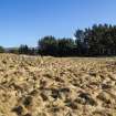 Survey photograph, Wade Road - General view, A9 Dualling - Tomatin to Moy, Highland