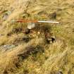 Survey photograph, Wade Road - Animal burrow into top of bank of road, A9 Dualling - Tomatin to Moy, Highland