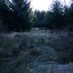 Survey photograph, North of Layby 172: Commercial forestry plantation with timber post and wire fence aligned N/S, A9 Dualling - Tomatin to Moy, Highland