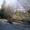 Survey photograph, North of Layby 172: Edge of commercial forestry plantation area to the north, A9 Dualling - Tomatin to Moy, Highland