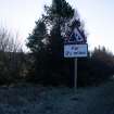 Survey photograph, At Layby 172: At the south end of layby 172 there is a narrow strip of conifers bordering the east side of the A9, A9 Dualling - Tomatin to Moy, Highland