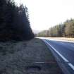 Survey photograph, South of Layby 172: On the east side of the A9 along the edge of the commercial forestry plantation, A9 Dualling - Tomatin to Moy, Highland