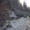 Survey photograph, South of layby 172: Large fallen tree and dumped pile of small irregular quarry chipped gravel, A9 Dualling - Tomatin to Moy, Highland